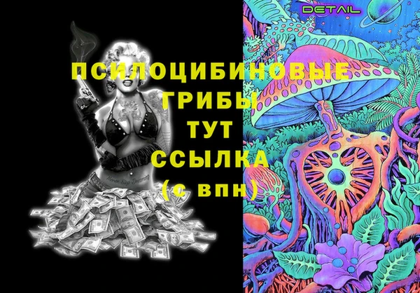 ГАЛЛЮЦИНОГЕННЫЕ ГРИБЫ Касимов