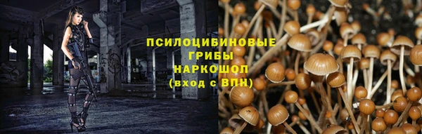 круглые Карталы
